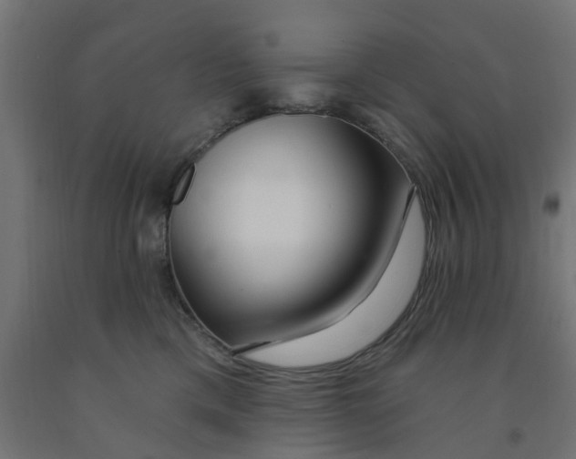 X0000090890425200708242006