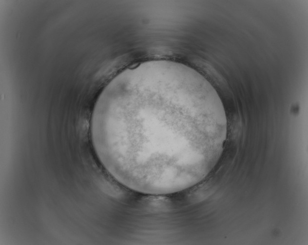 X0000090890427200708242005