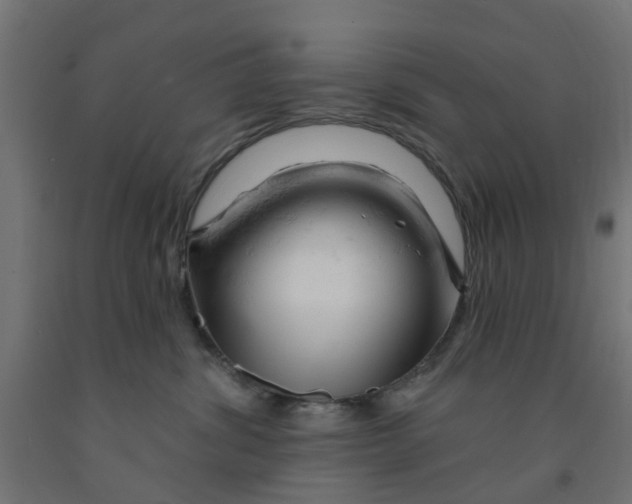 X0000090890428200708242005