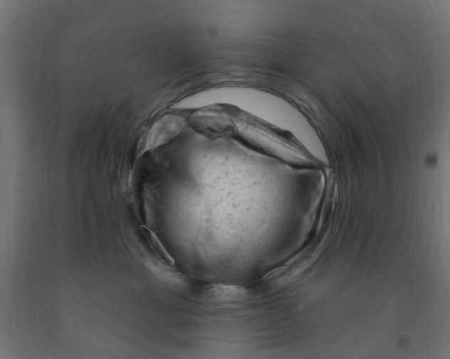 X0000090890429200708242005