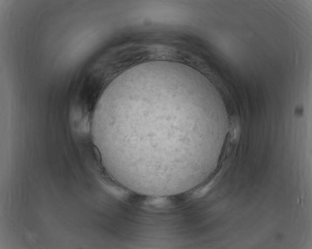 X0000090890431200708242005