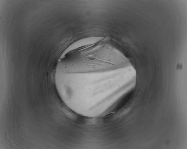 X0000090890432200708242005