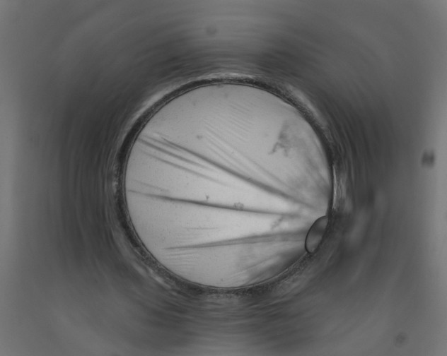 X0000090890435200708242005