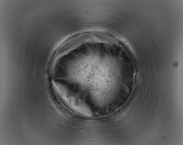 X0000090890436200708242005