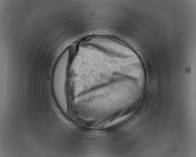 X0000090890437200708242005