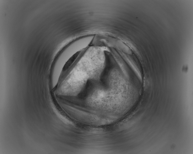 X0000090890438200708242005