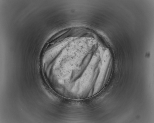 X0000090890439200708242005