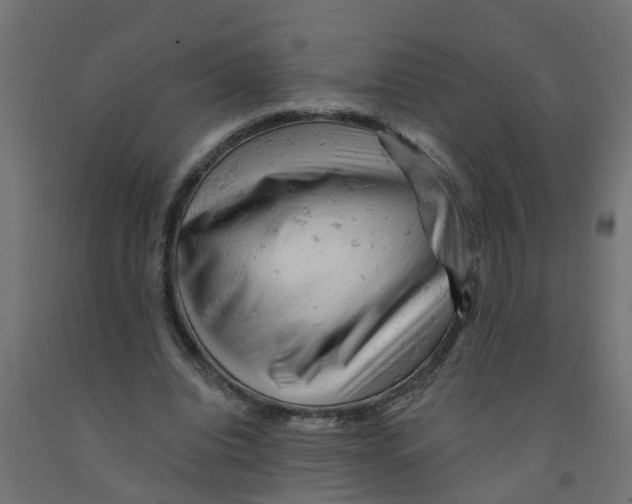 X0000090890440200708242005