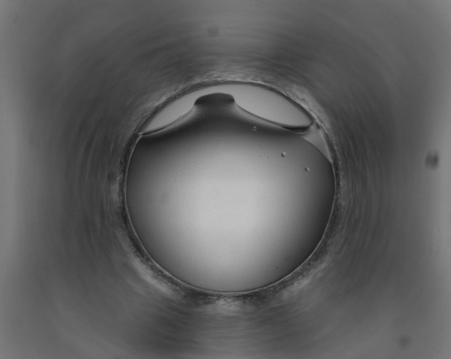 X0000090890441200708242005