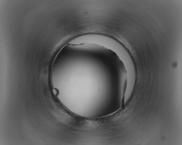 X0000090890442200708242005