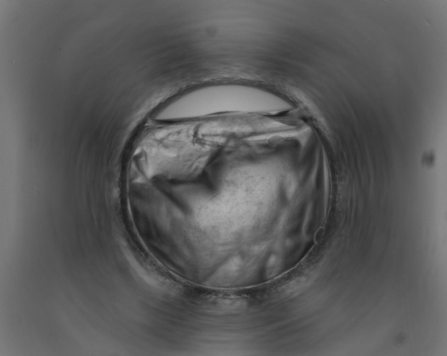 X0000090890443200708242005