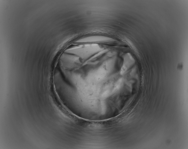 X0000090890444200708242005