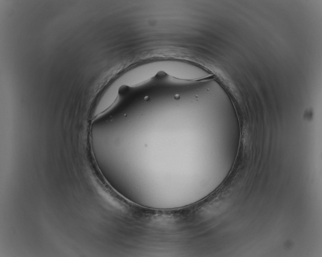 X0000090890445200708242005