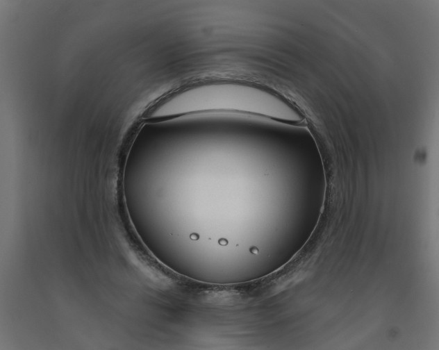 X0000090890446200708242005