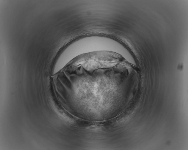 X0000090890447200708242005