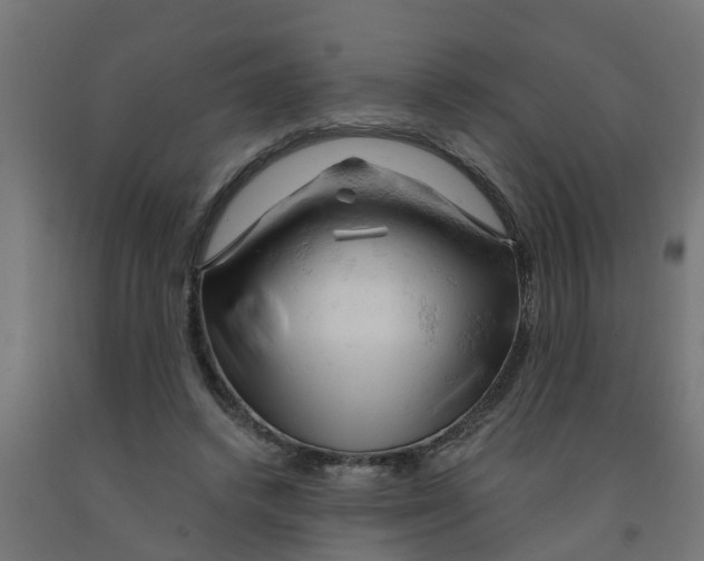 X0000090890448200708242005