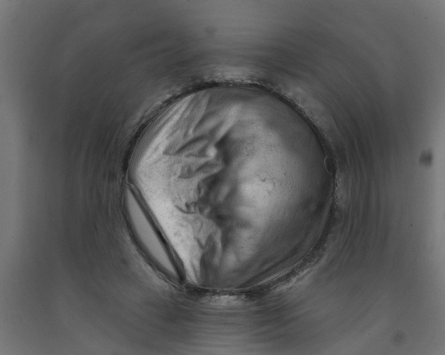 X0000090890449200708242005