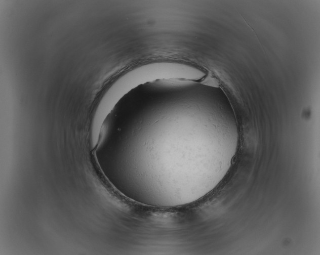 X0000090890450200708242005