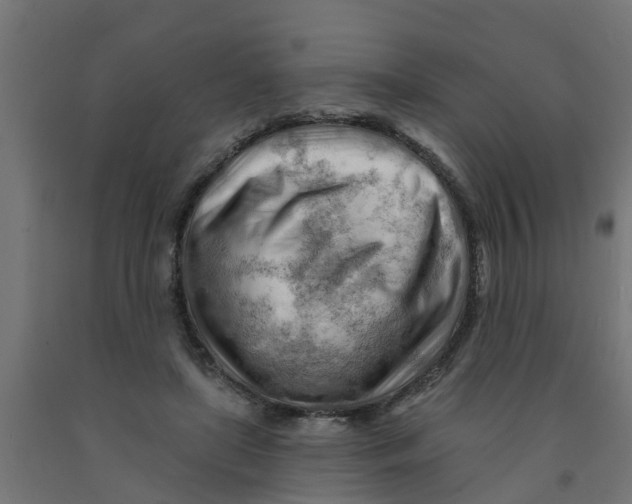 X0000090890451200708242005