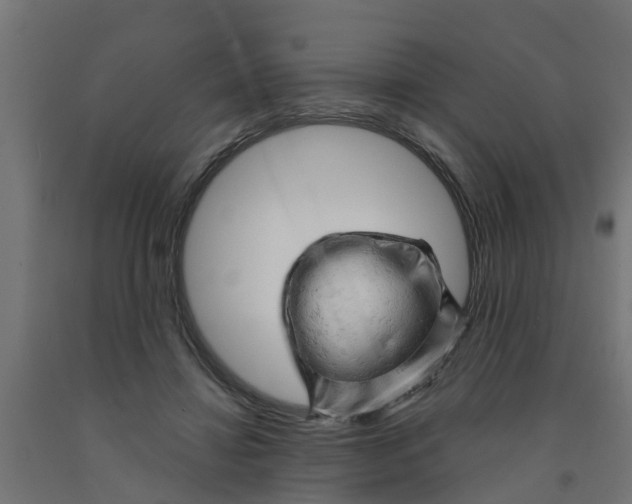 X0000090890452200708242005