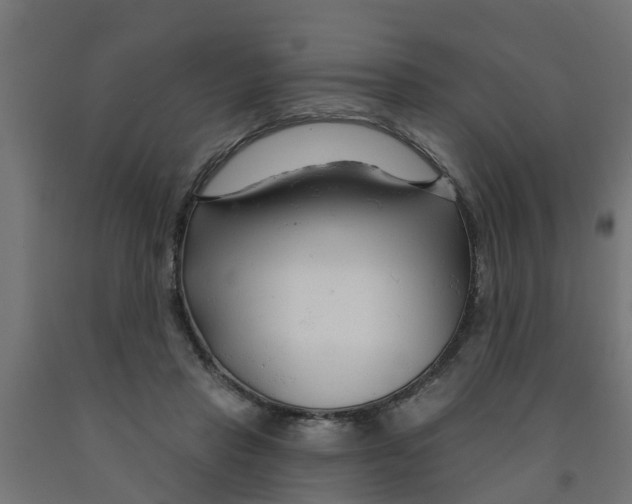 X0000090890453200708242005