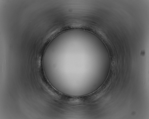 X0000090890454200708242005