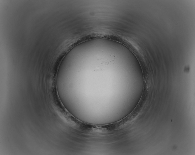 X0000090890455200708242005