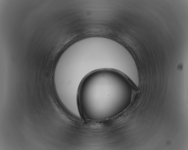 X0000090890456200708242005