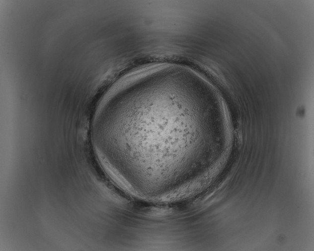 X0000090890458200708242005