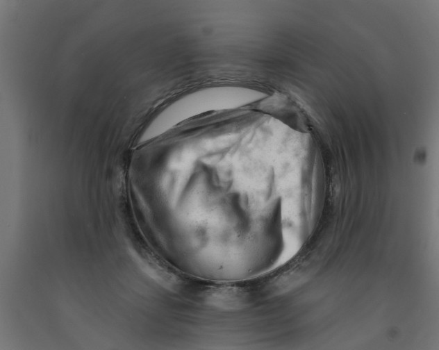 X0000090890459200708242005