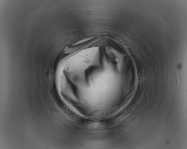 X0000090890460200708242005