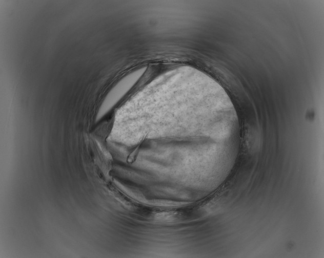 X0000090890461200708242005