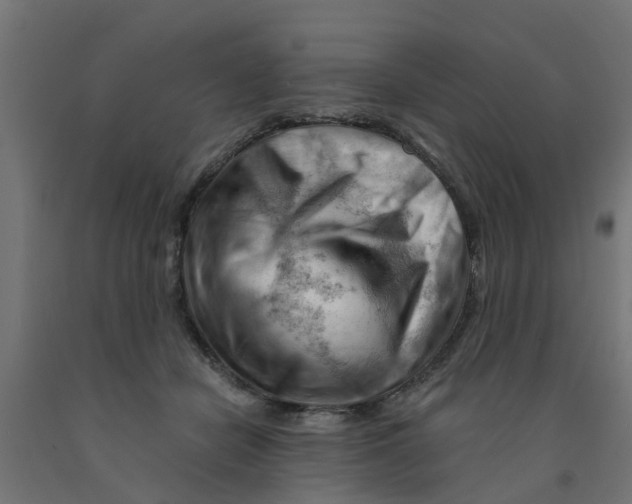 X0000090890462200708242005