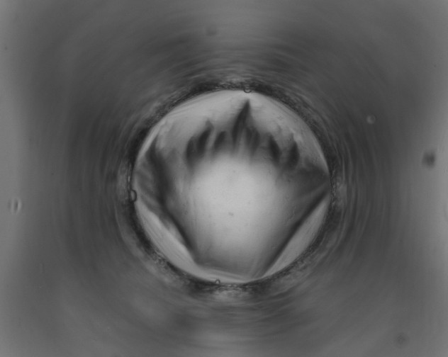 X0000090890468200708242005