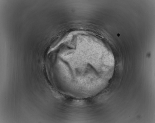 X0000090890469200708242005