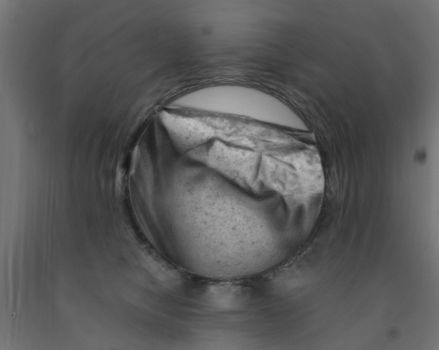 X0000090890470200708242005