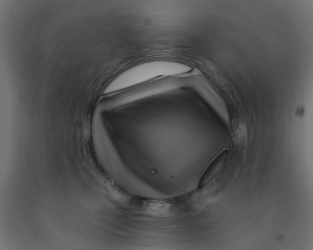 X0000090890471200708242005