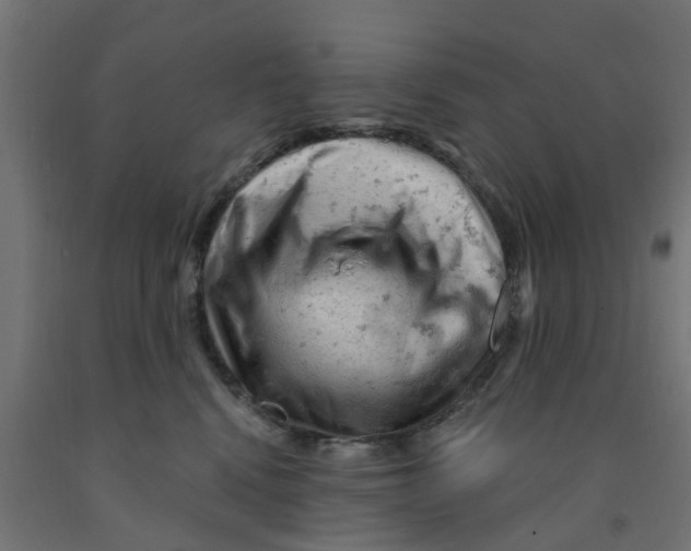 X0000090890472200708242005