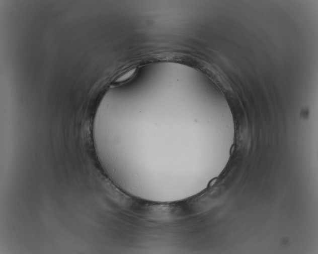 X0000090890473200708242005