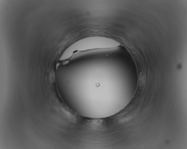 X0000090890474200708242005