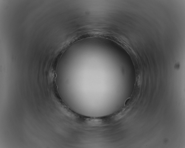 X0000090890476200708242005