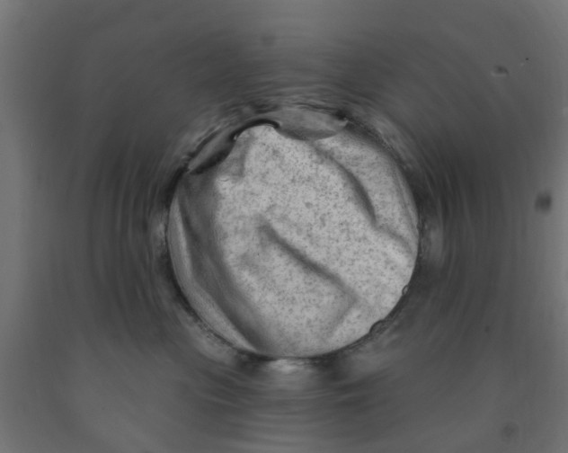 X0000090890477200708242005