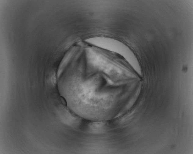 X0000090890479200708242005