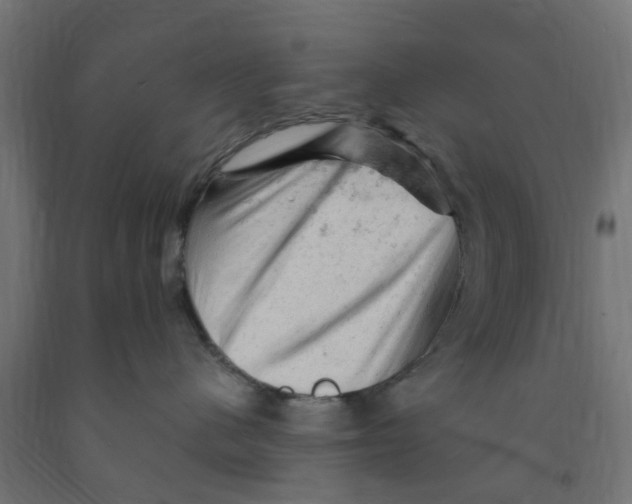 X0000090890480200708242005