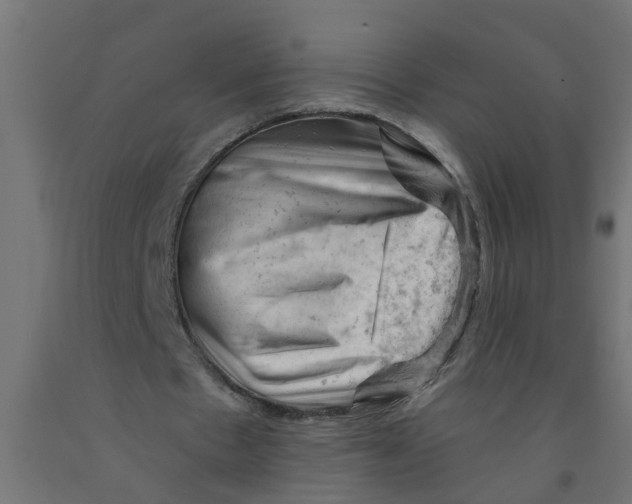 X0000090890481200708242005