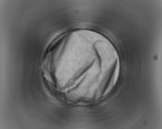 X0000090890482200708242005