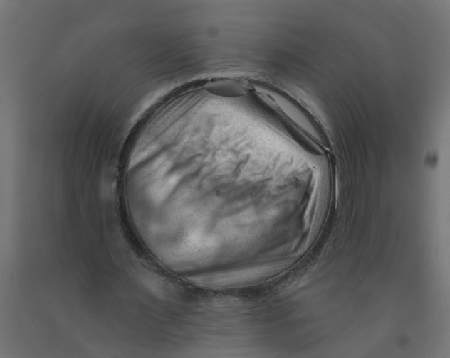 X0000090890483200708242005