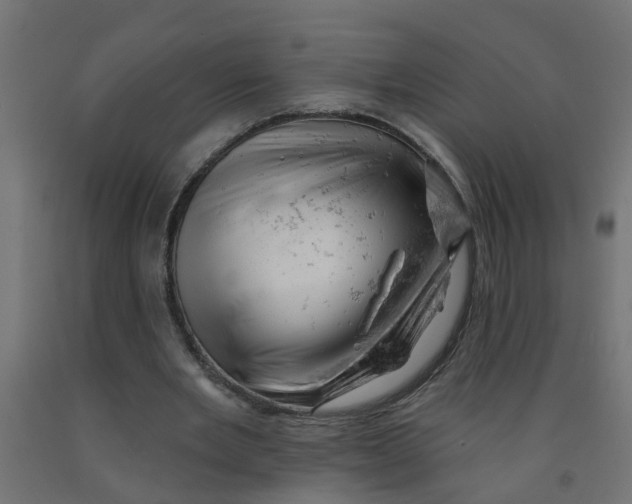 X0000090890485200708242005