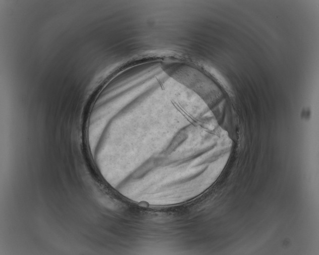 X0000090890486200708242005