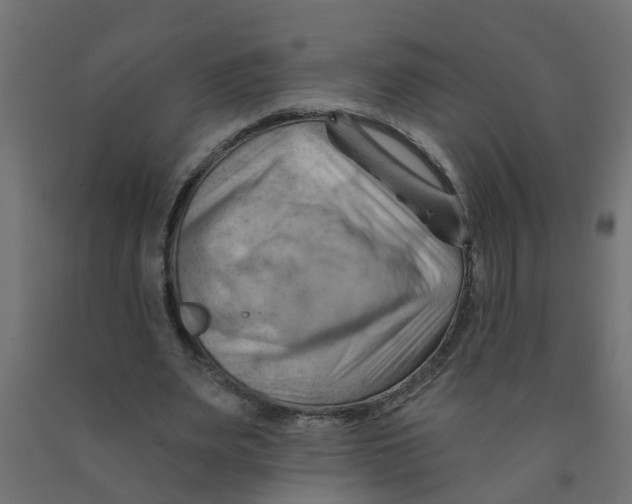 X0000090890487200708242005